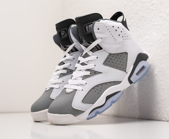 Nike Air Jordan 6 grey lthr